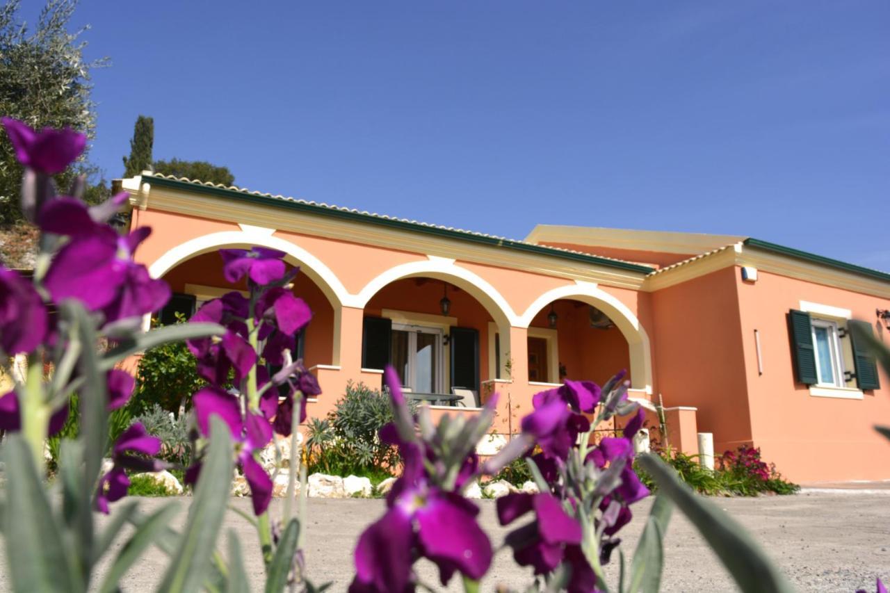 Villa Skafonas Sinarádes المظهر الخارجي الصورة