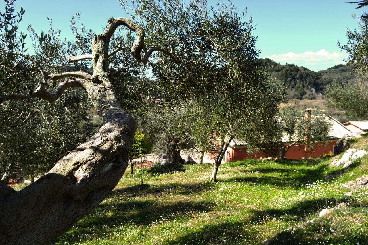 Villa Skafonas Sinarádes المظهر الخارجي الصورة