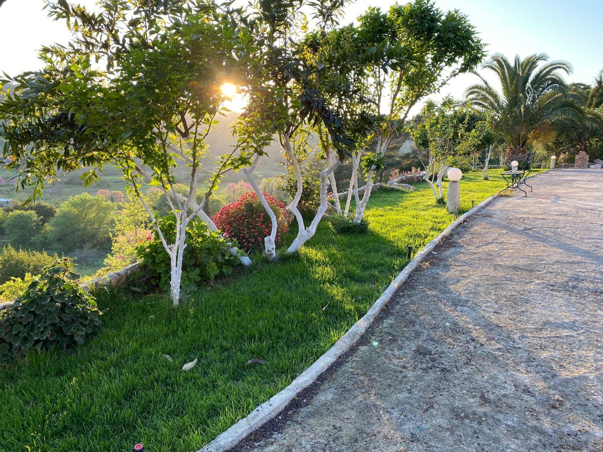 Villa Skafonas Sinarádes المظهر الخارجي الصورة